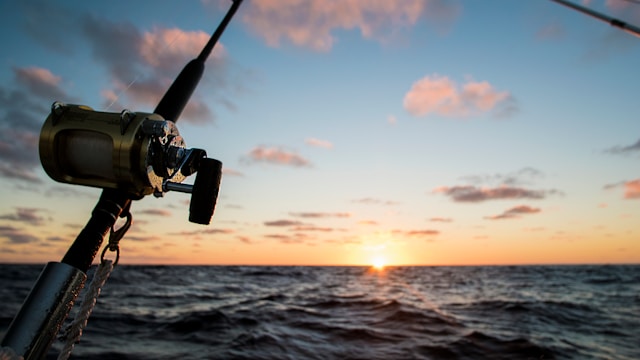 fishing rod and sunset