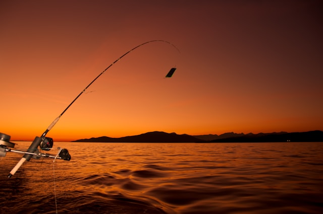 fishing rod and sunset