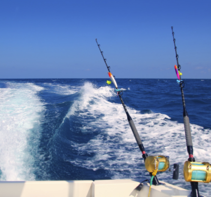 Fishing rods on a boat