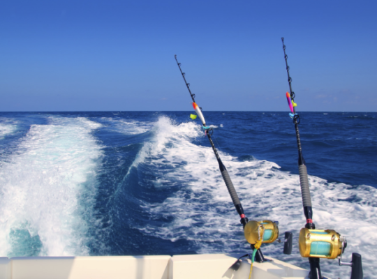 Fishing rods on a boat