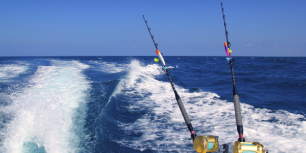 Fishing rods on a boat